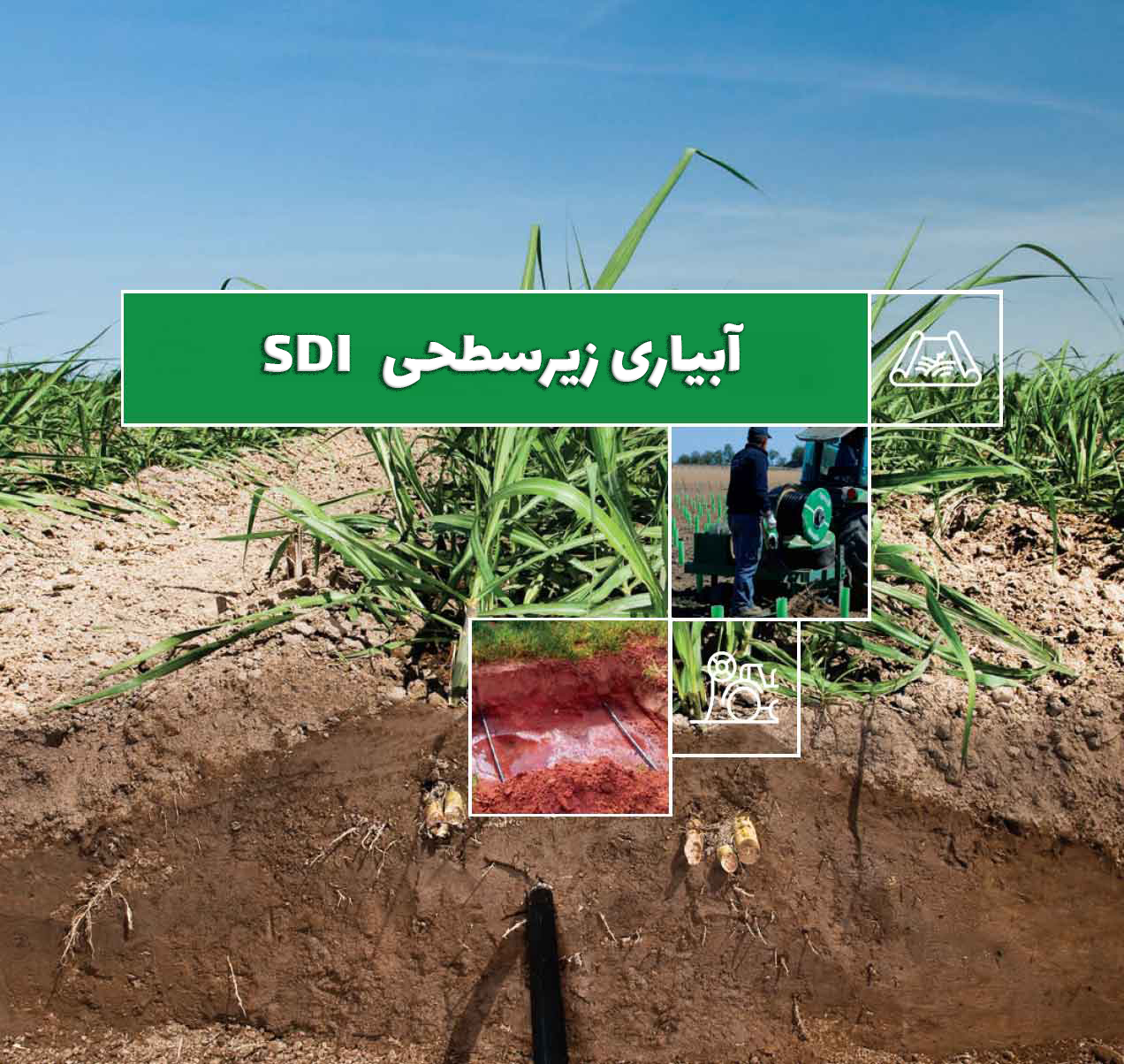 sdi